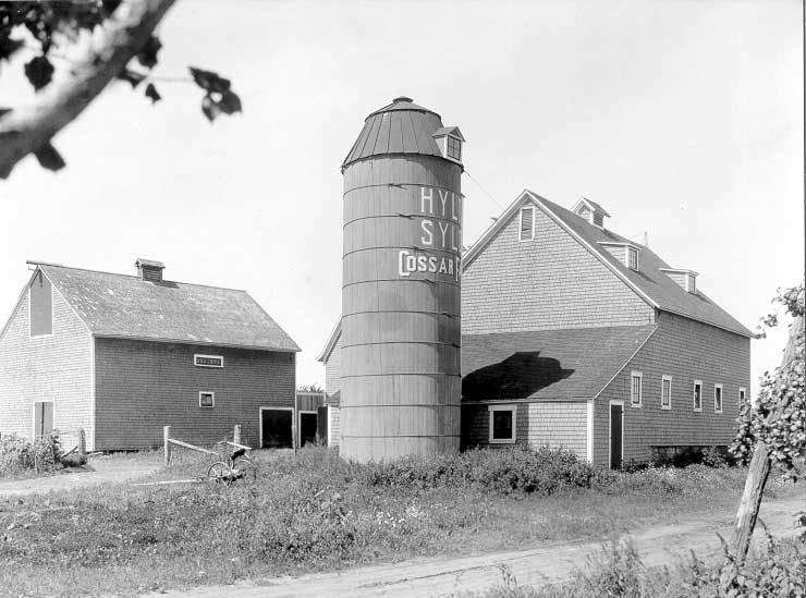 Wooden stave silo on Cossar Farm