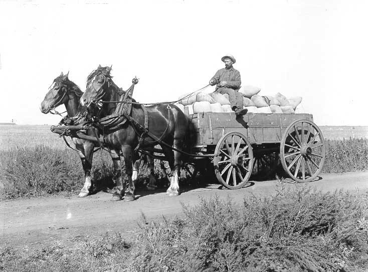 Hauling grain