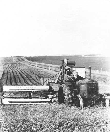 Harvesting with McCormick Deering tractor-drawn combine