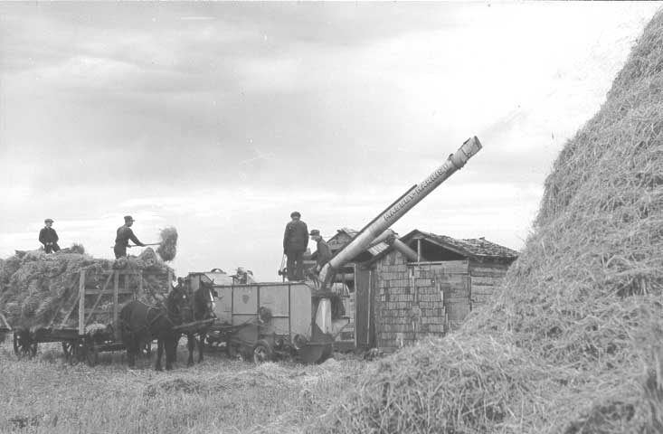 Threshing into a granary