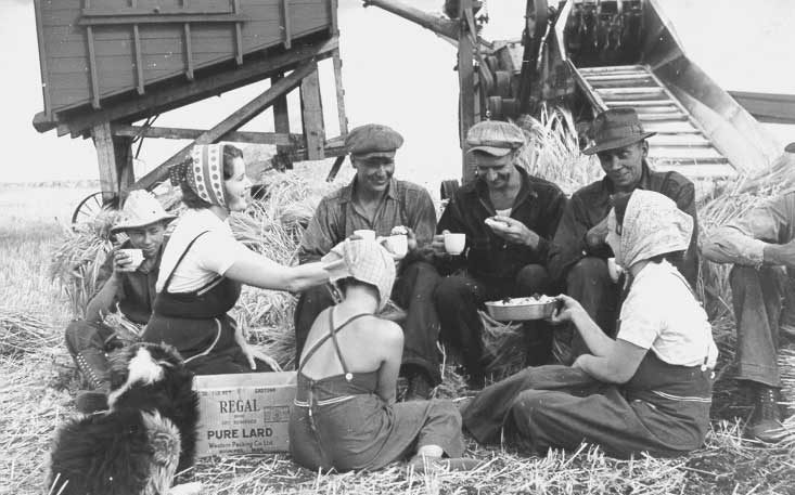 Harvest crew taking a break