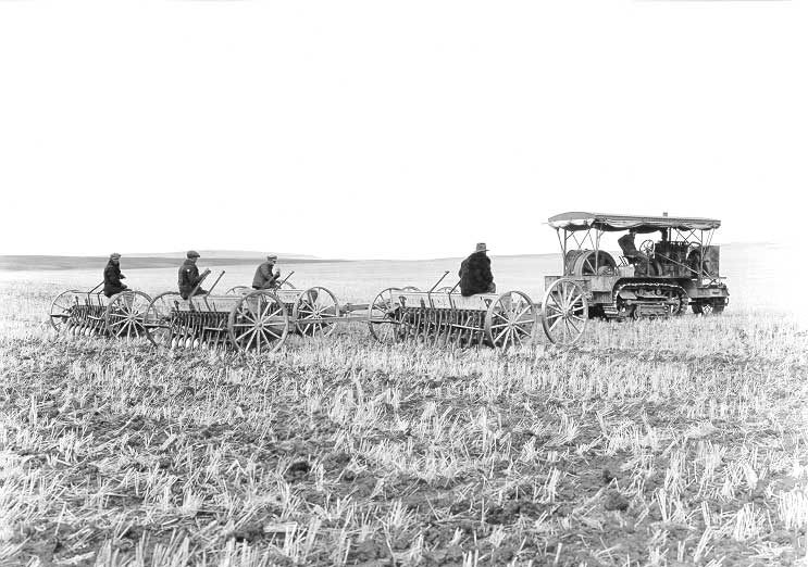Stubble seeding with four seed drills pulled by Holt Caterpillar tractor