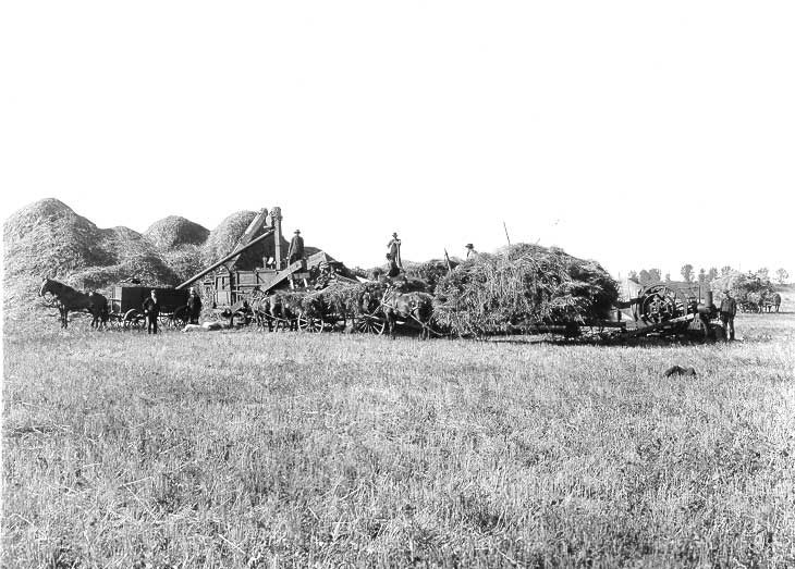 Stack threshing with Aultmann-Taylor threshing machine and portable gas engine