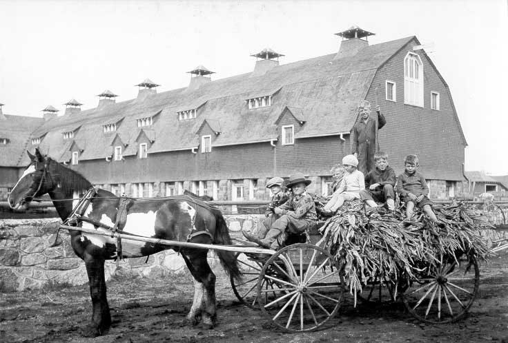 Children riding on load of corn stalks