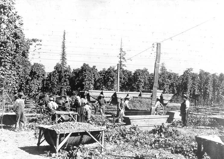 Unloading hops