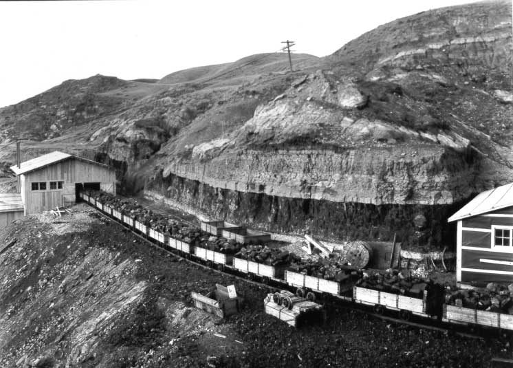 Coal from mine entering rotary dump house