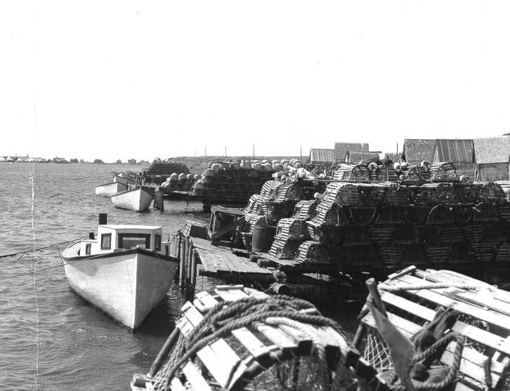 Lobster trap boats
