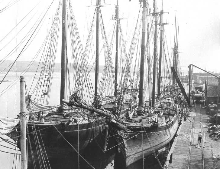 Deep-sea fishing boats