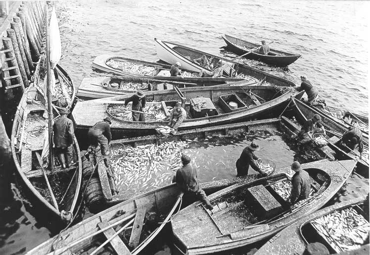 Fishing boats, Lockport