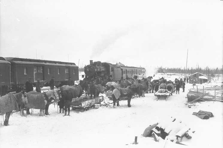 Sleighs awaiting arrival of passenger train