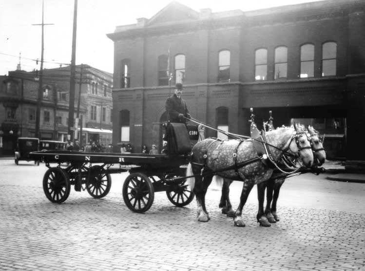 A freight wagon with its driver and team