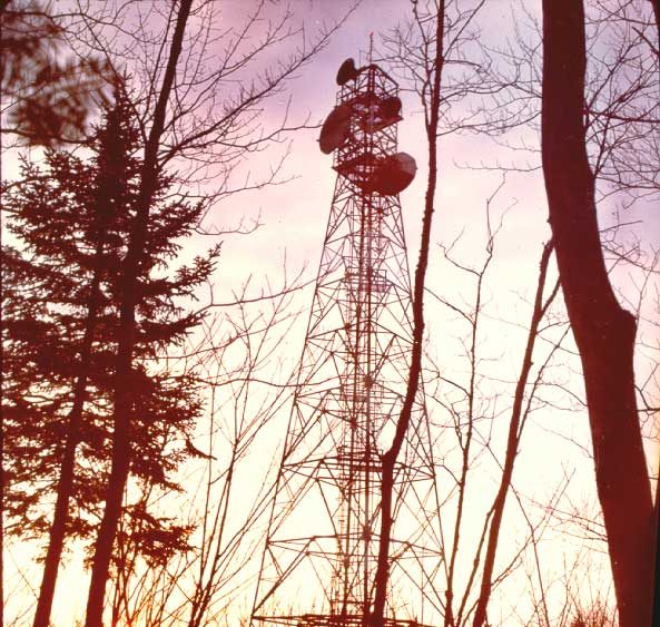 Microwave radio tower