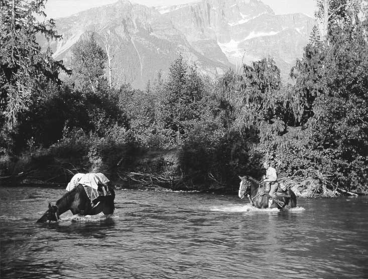 Fording a branch of the Bella Coola River