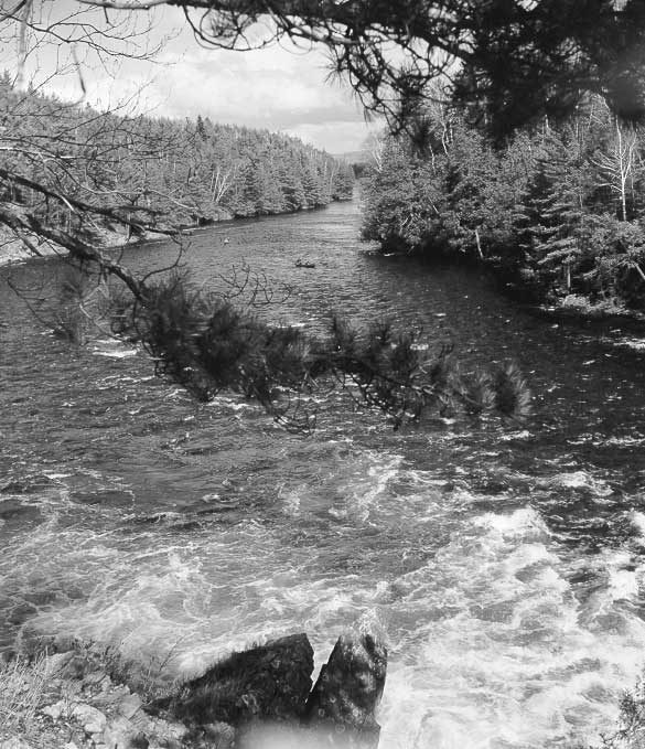 Rapids in Algonquin Park