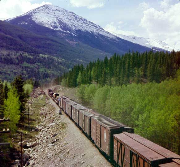 Freight train near Mount Robson