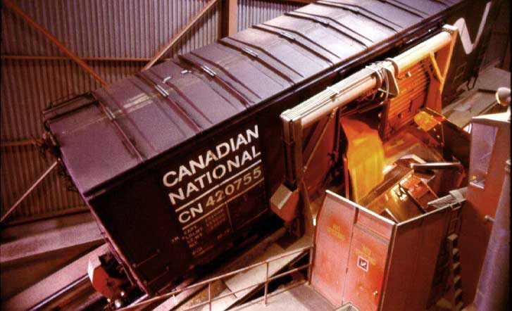 Wheat being dumped from boxcar inside grain elevator