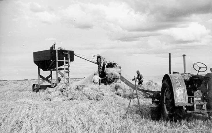Bin threshing with tractor and threshing machine