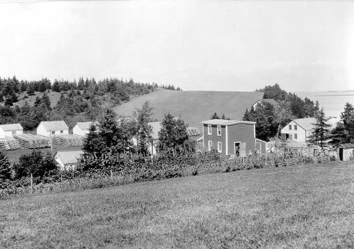 Lobster canning factory