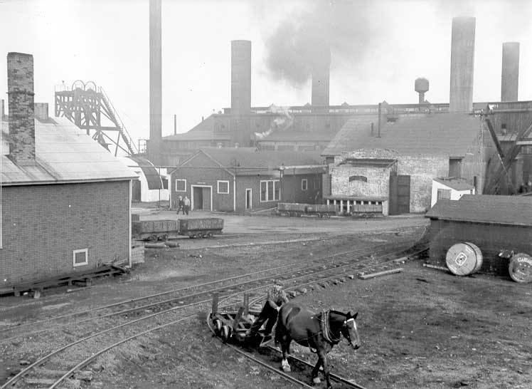 Mine pit pony used for hauling the coal