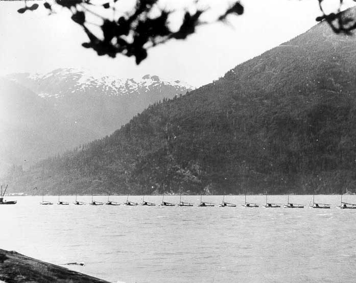 Fishing fleet at Bella Coola