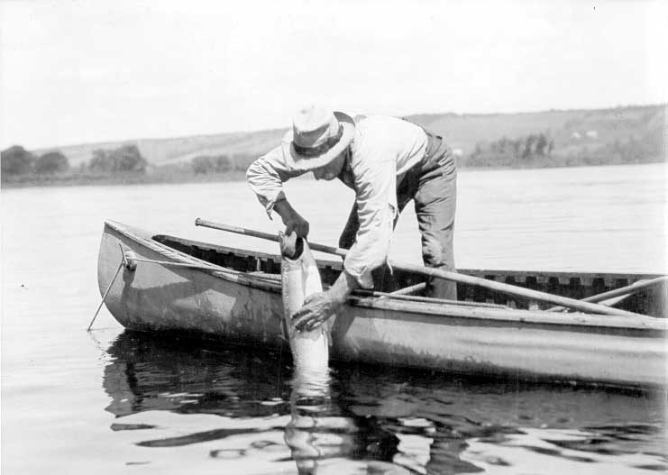 Fishing, Saint John River