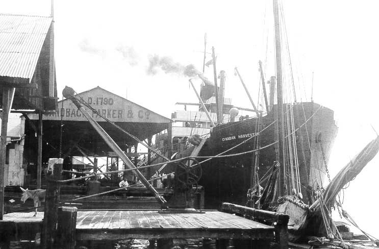 Cargo ship SS Canadian Harvester
