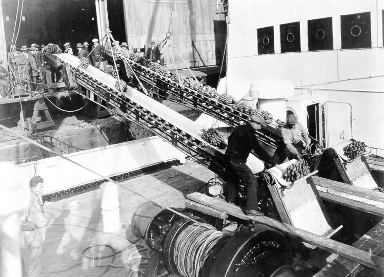 Loading bananas onto a cargo ship