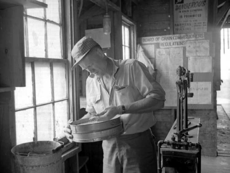 Elevator operator checking grain for dockage