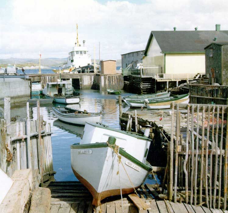 Fishing boats docked at Ring Bolt Cove, Port aux Basques Harbour