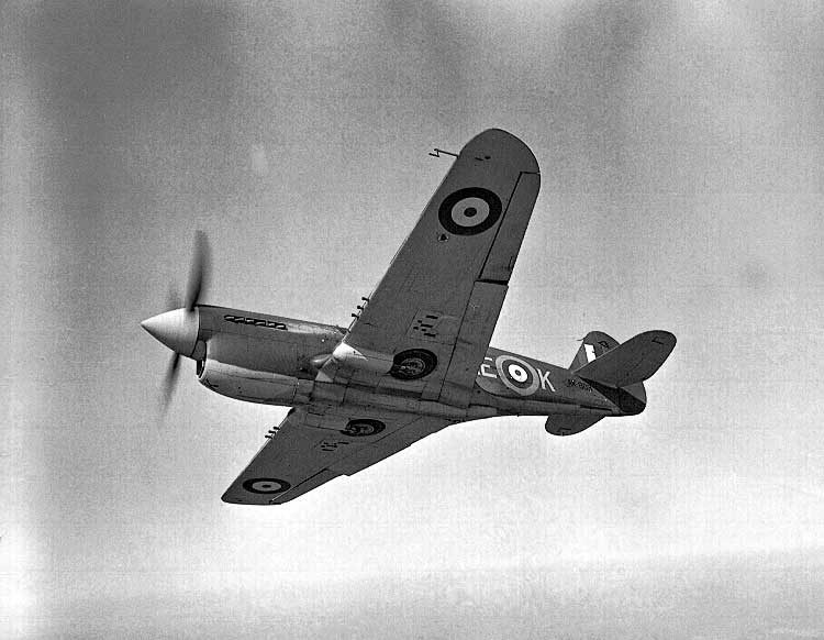 A Royal Canadian Air Force Kittyhawk fighter from underneath