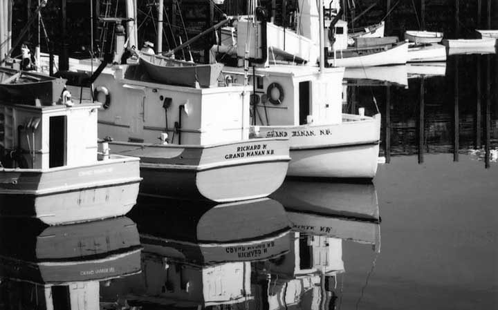 A scenic view of fishing boats at North Head, Grand Manan Island