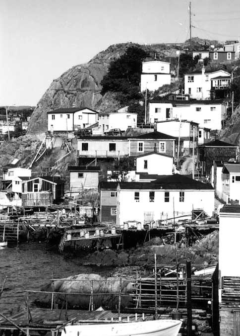 A scenic harbour scene