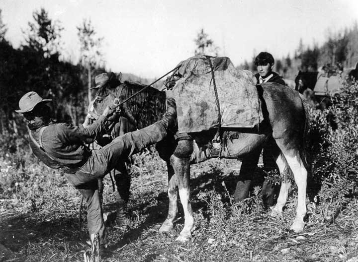 Making a diamond hitch to secure a load on a pack horse