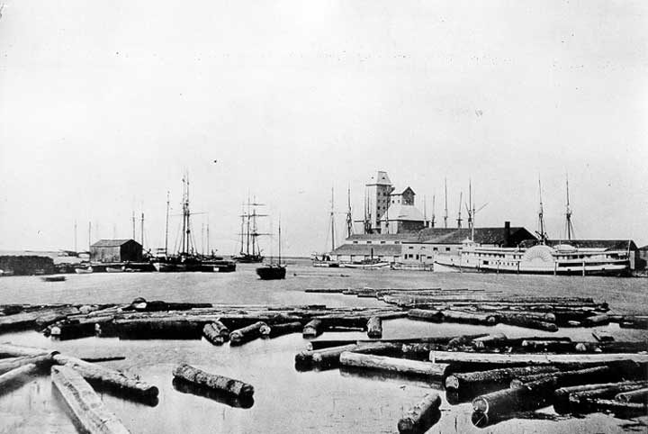 A distant view of Collingwood harbour