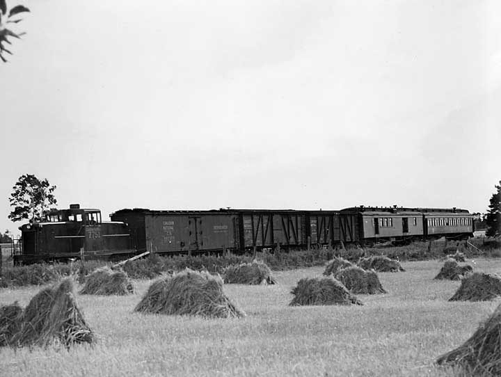 Canadian National Railways diesel locomotive no. 7751 hauls cars past a wheat field in Prince Edward Island