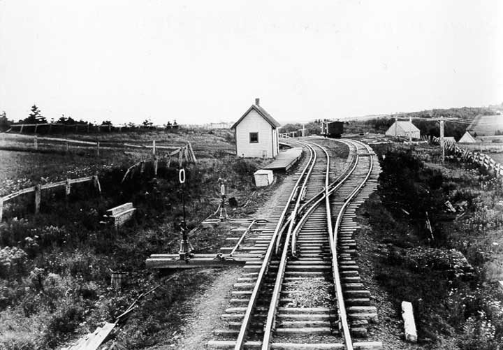 A multiple switch for narrow and standard gauge track