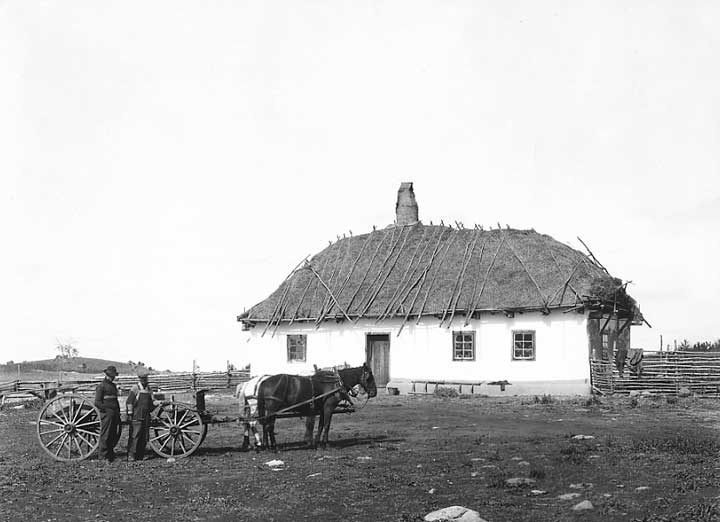 A homesteaders cottage with thatch roof in Western Canada