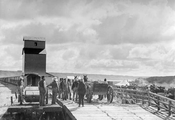 Grain is transported by horse-drawn cart to an elevator in Western Canada while a train stands by