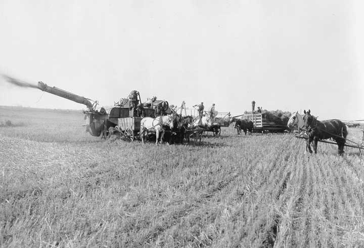 A threshing operation in the prairies
