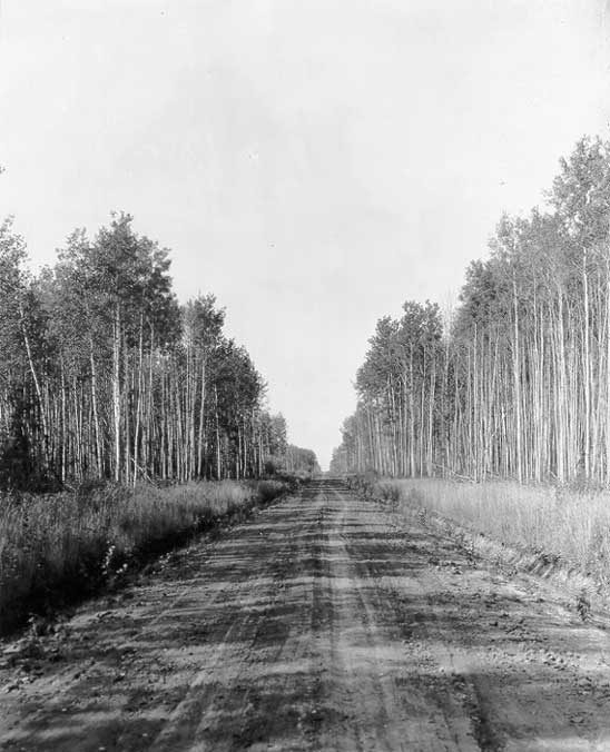 The highway in the Peace River District