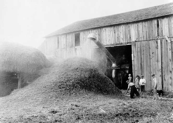 Threshing grain near Flint