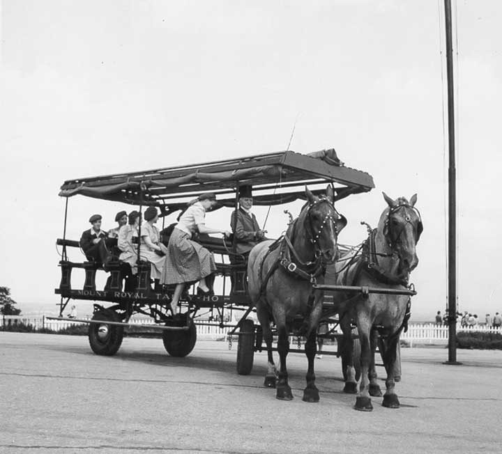 The Mount Royal Tally-Ho horse-drawn tour vehicle