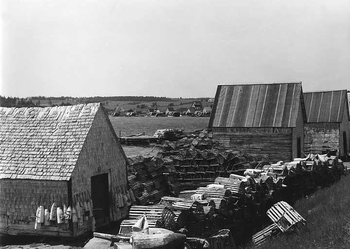 Lobster traps near the dock