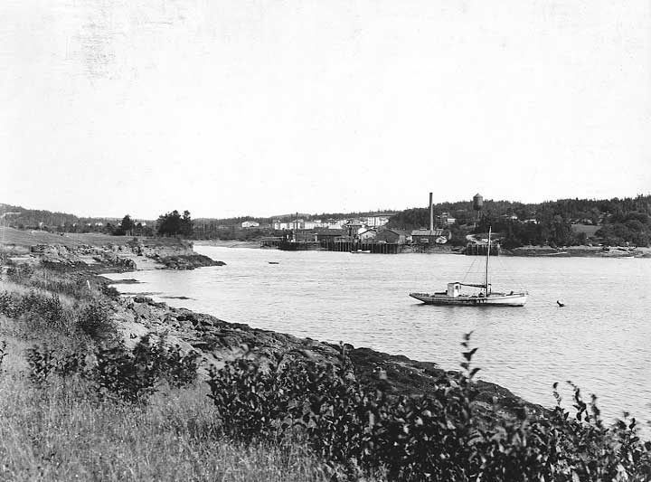A small motorized fishing schooner mooring in the harbour