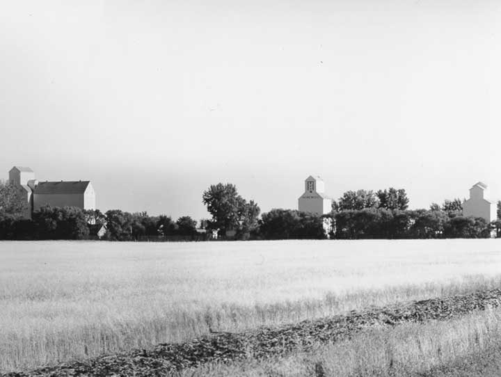 Grain elevators and wheat field