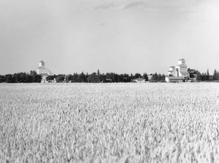 Grain elevators and wheat field