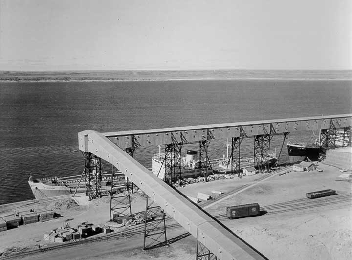 Conveyor apparatus for loading grain onto cargo ships