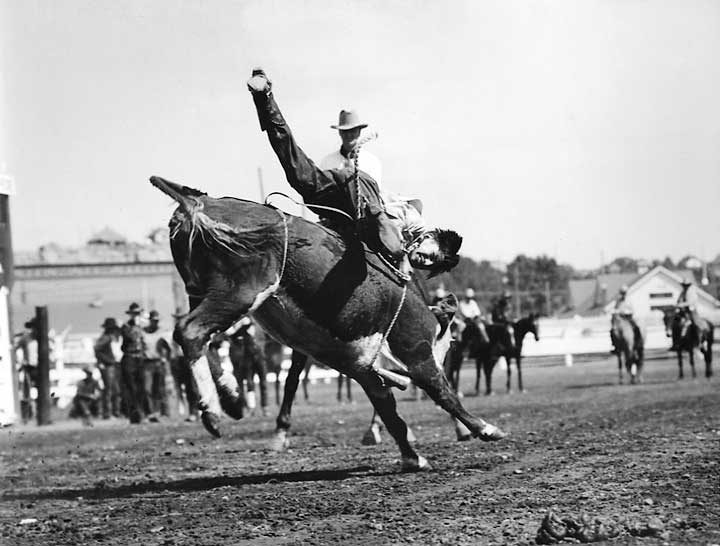 Aboriginal rider is thrown off during bull riding competition at the Calgary Stampede