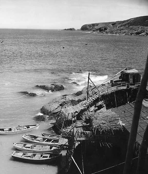 Fish landing stages