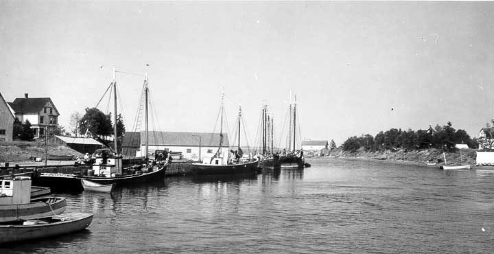 Fishing fleet at Murray Harbor